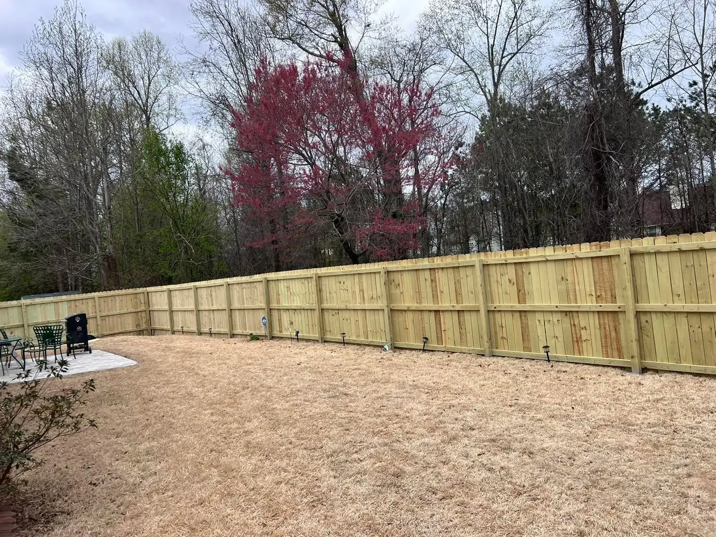 Long new pine privacy fence around a backyard